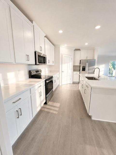 16890 Forge Surf, Land O Lakes, FL 34638