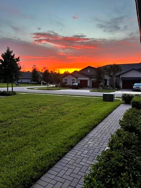 16890 Forge Surf, Land O Lakes, FL 34638