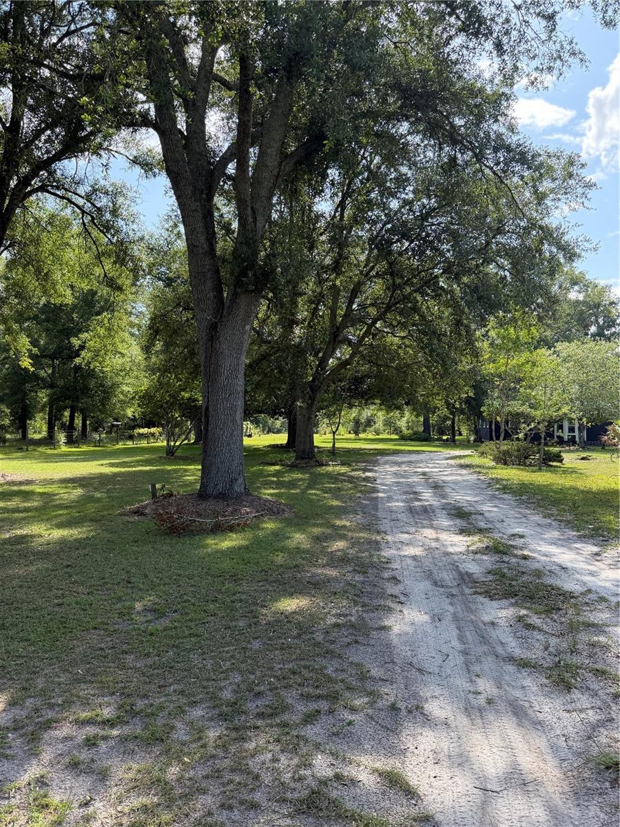 5649 209th, Live Oak, FL 32060