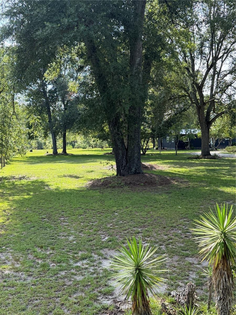 5649 209th, Live Oak, FL 32060