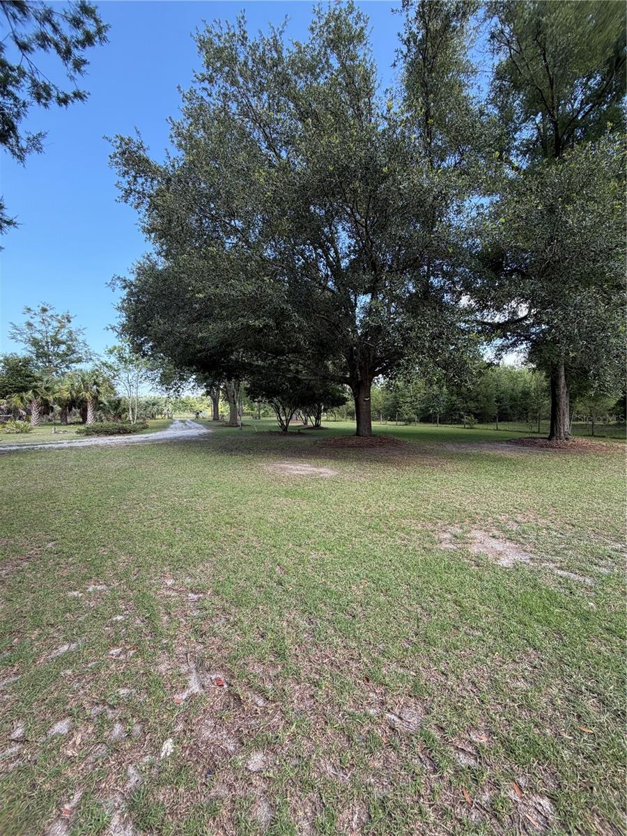 5649 209th, Live Oak, FL 32060