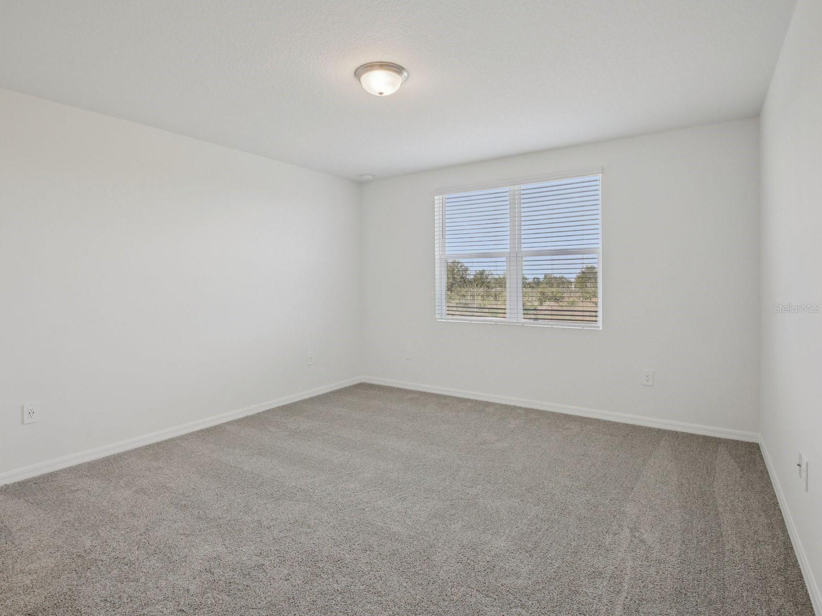 2896 Wild Olive, St Cloud, FL 34772