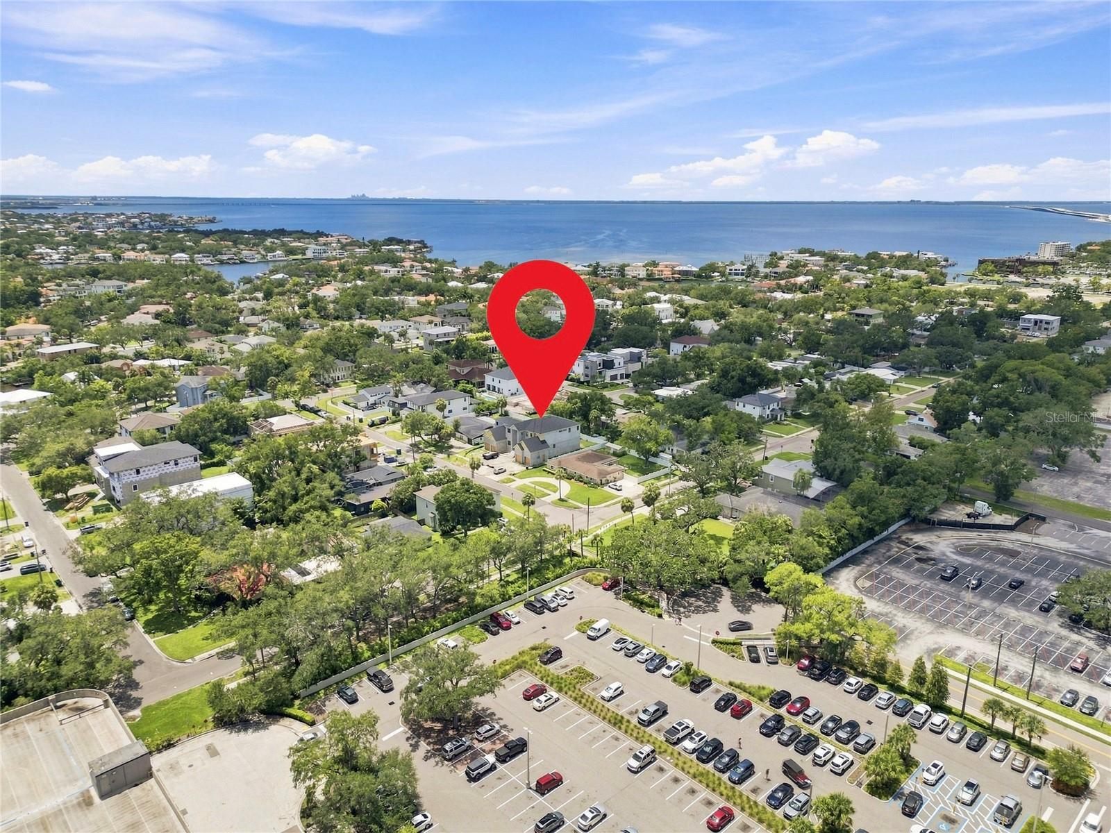207 Gardenia, Tampa, FL 33609