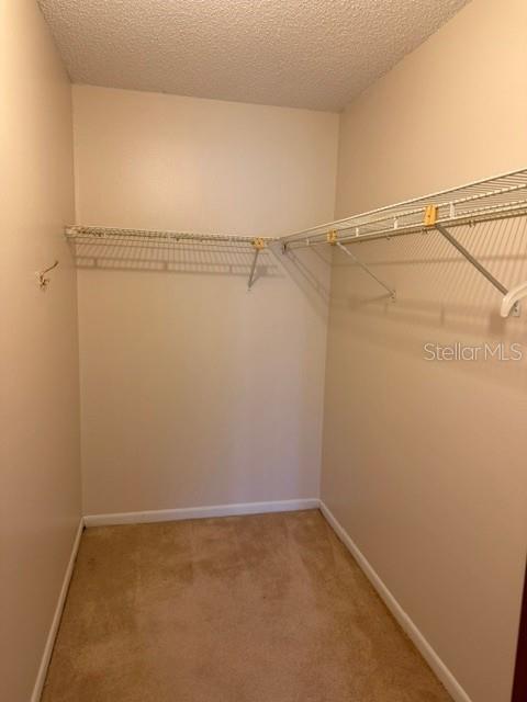 3048 Unity Tree, Edgewater, FL 32141