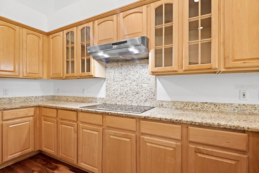 6034 Hammock Hill, Lithia, FL 33547