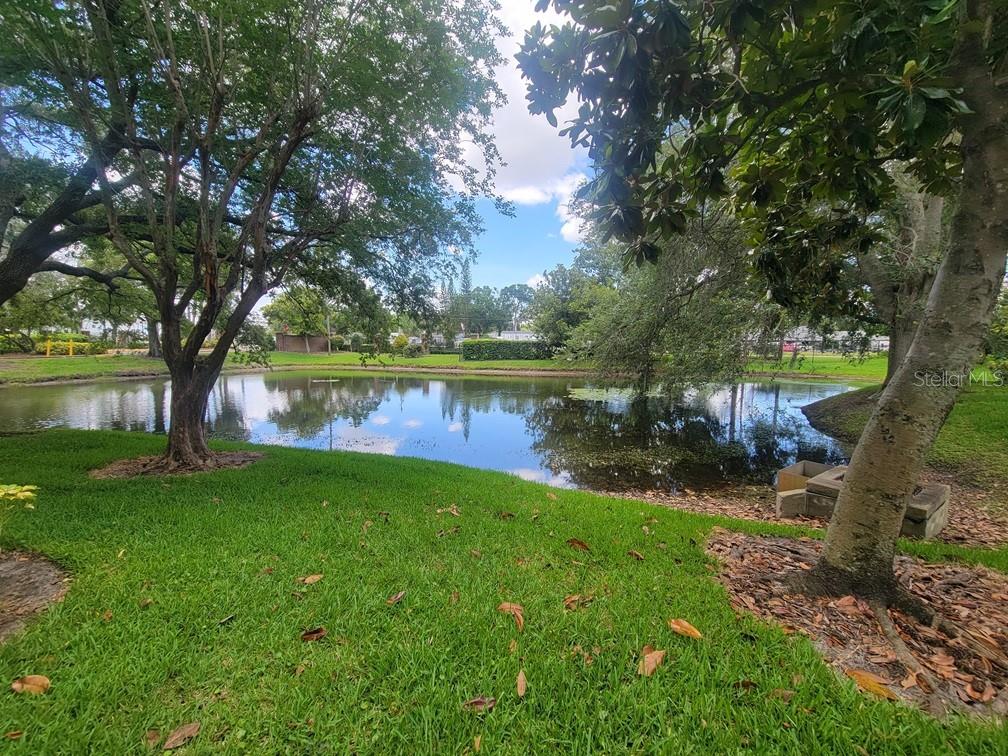 10024 Strafford Oak Unit 813, Tampa, FL 33624