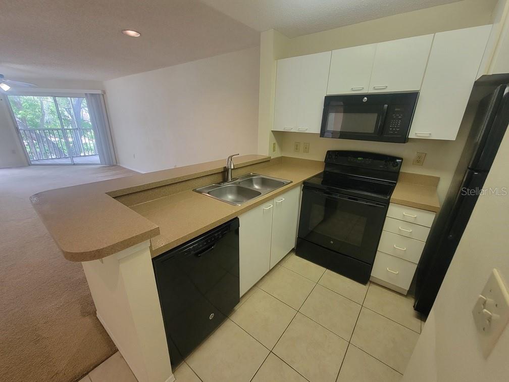 10024 Strafford Oak Unit 813, Tampa, FL 33624