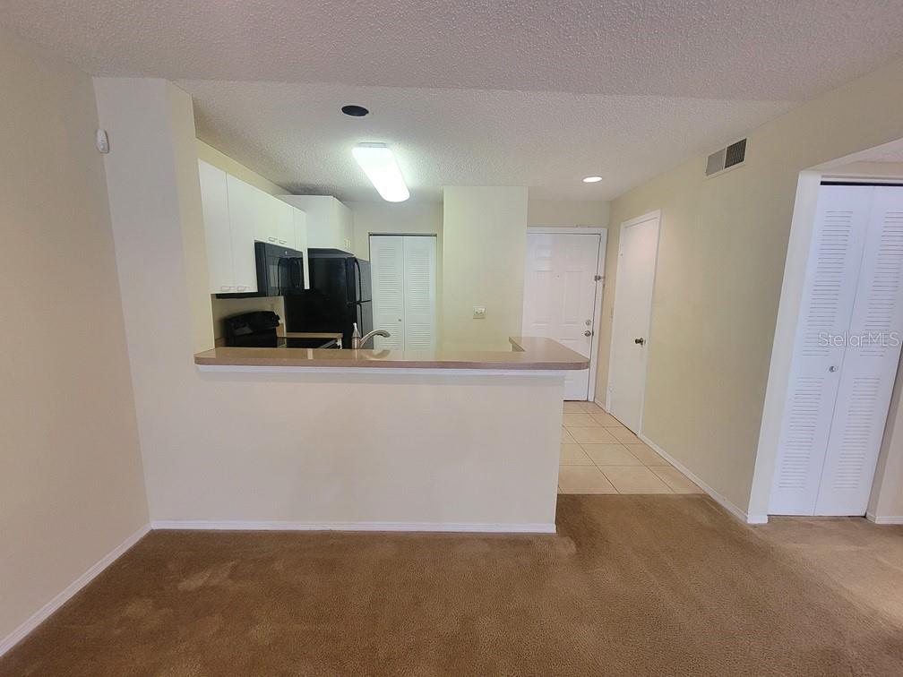 10024 Strafford Oak Unit 813, Tampa, FL 33624
