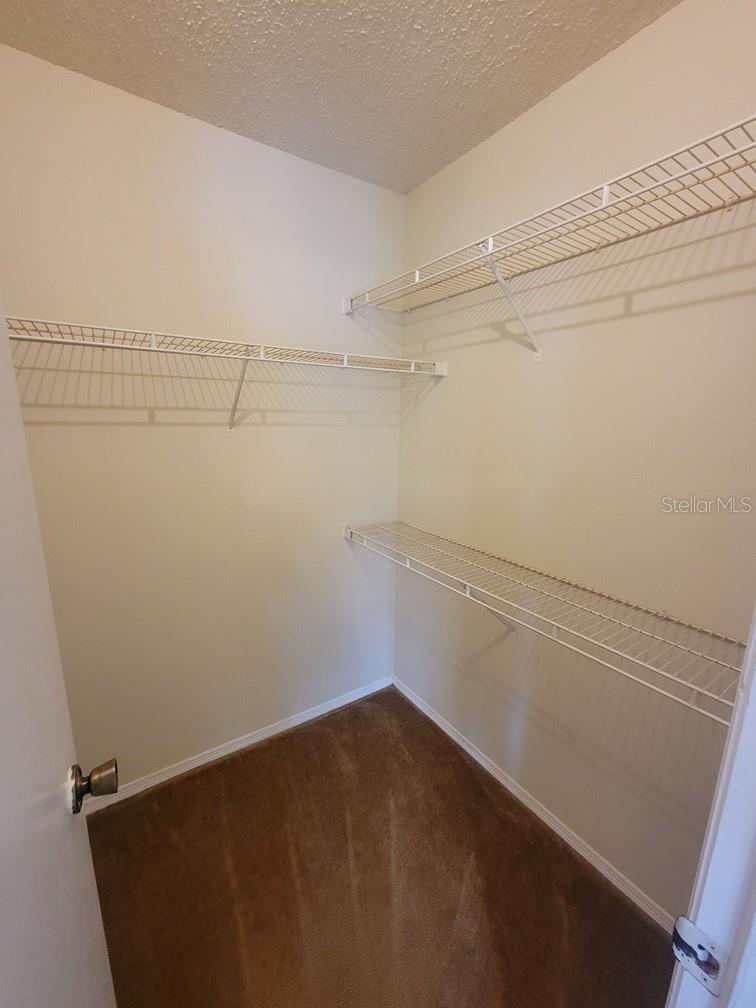 10024 Strafford Oak Unit 813, Tampa, FL 33624