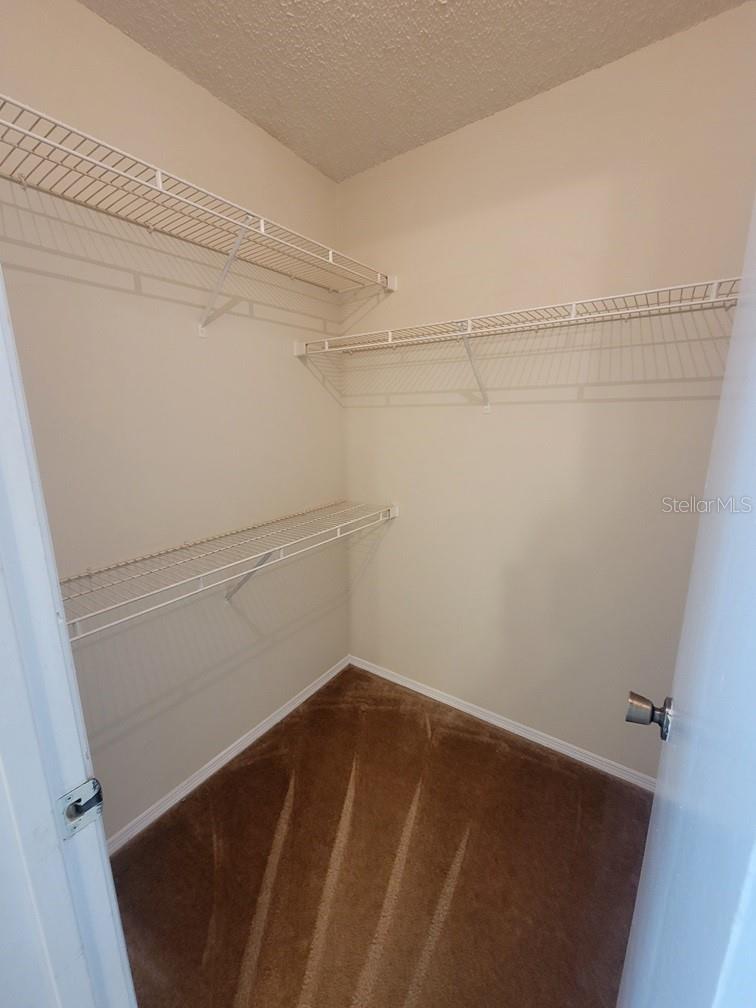 10024 Strafford Oak Unit 813, Tampa, FL 33624