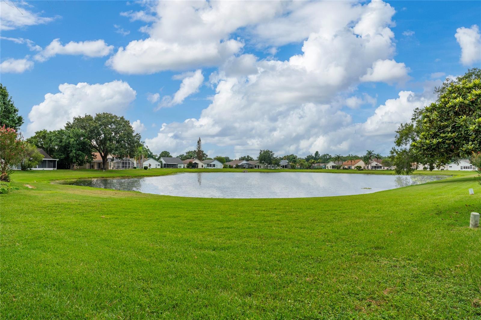 11206 Purple Plum, Orlando, FL 32821