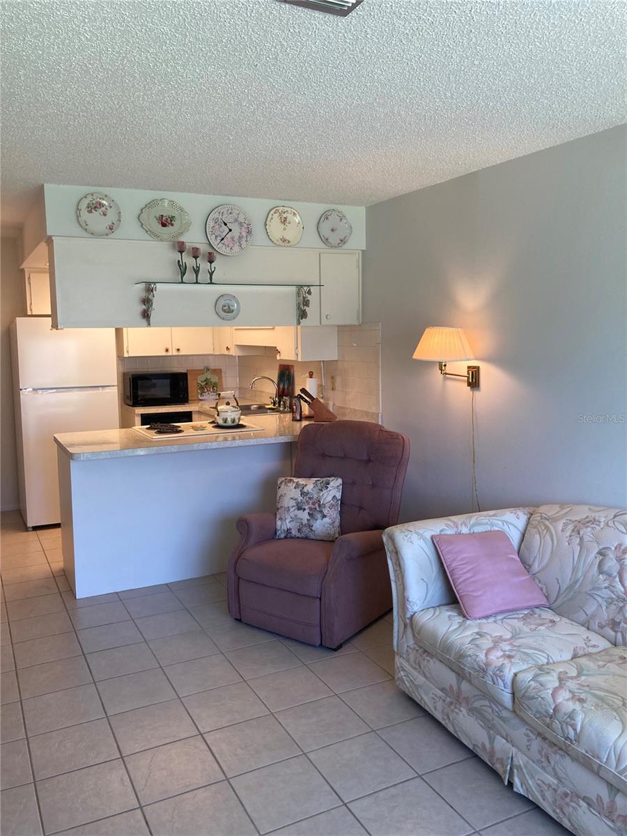 4313 Tahitian Gardens Circle Unit B, Holiday, FL 34691