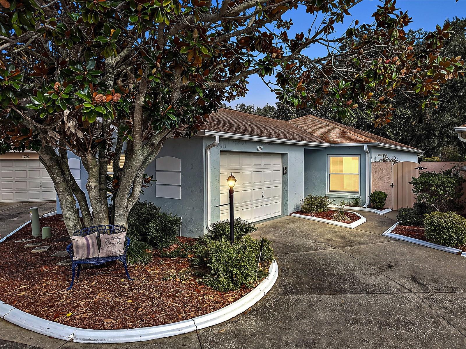 1717 Francisco, The Villages, FL 32159