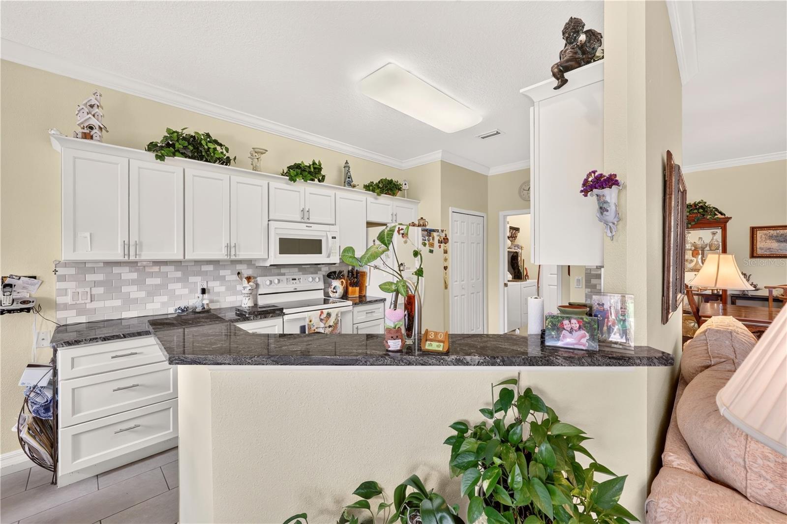 10055 90th, Ocala, FL 34481