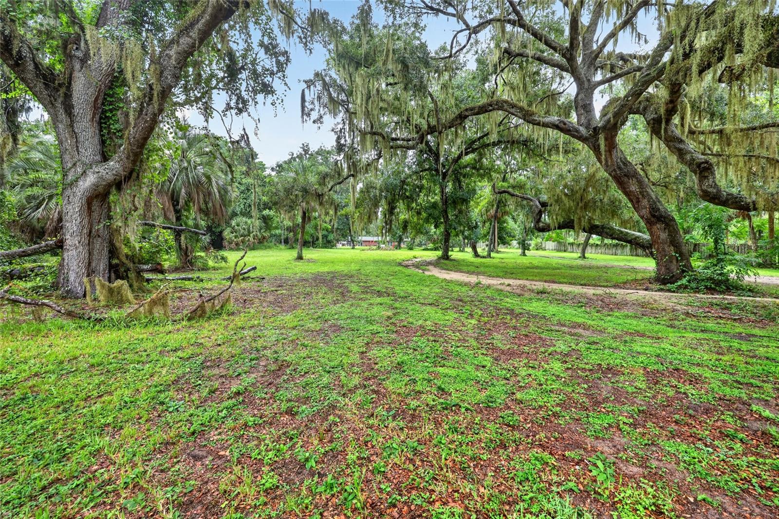 35446 Fouraker, Fruitland Park, FL 34731