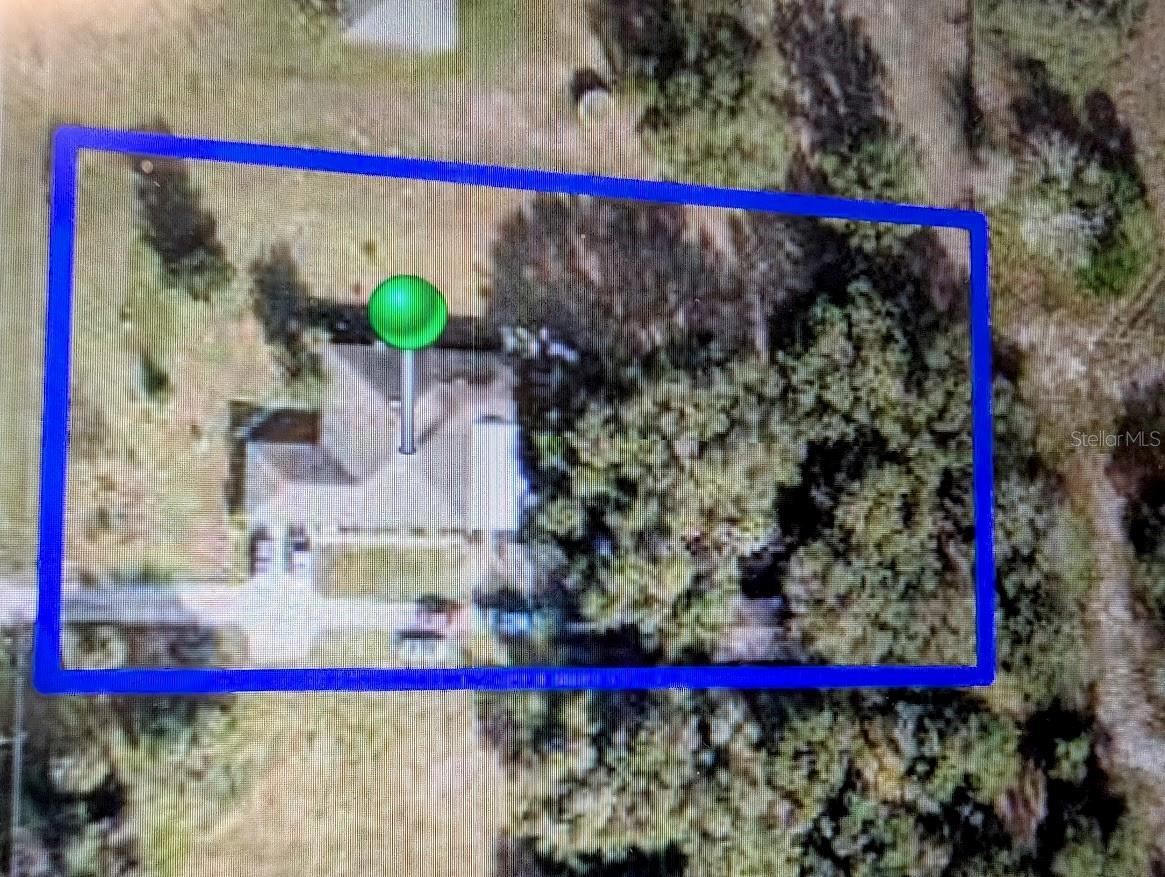 310 Tomato Hill, Leesburg, FL 34748