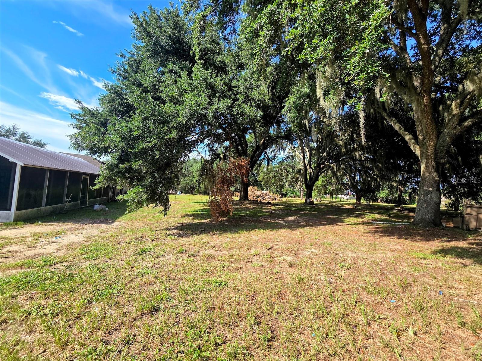 310 Tomato Hill, Leesburg, FL 34748