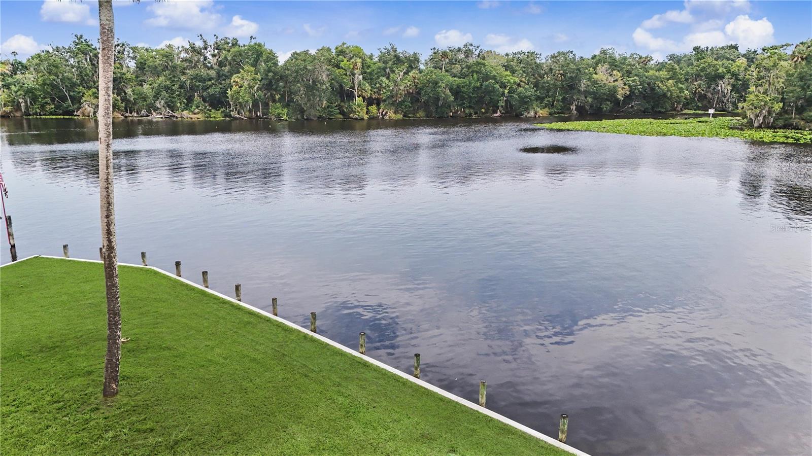 56440 Water Oak, Astor, FL 32102