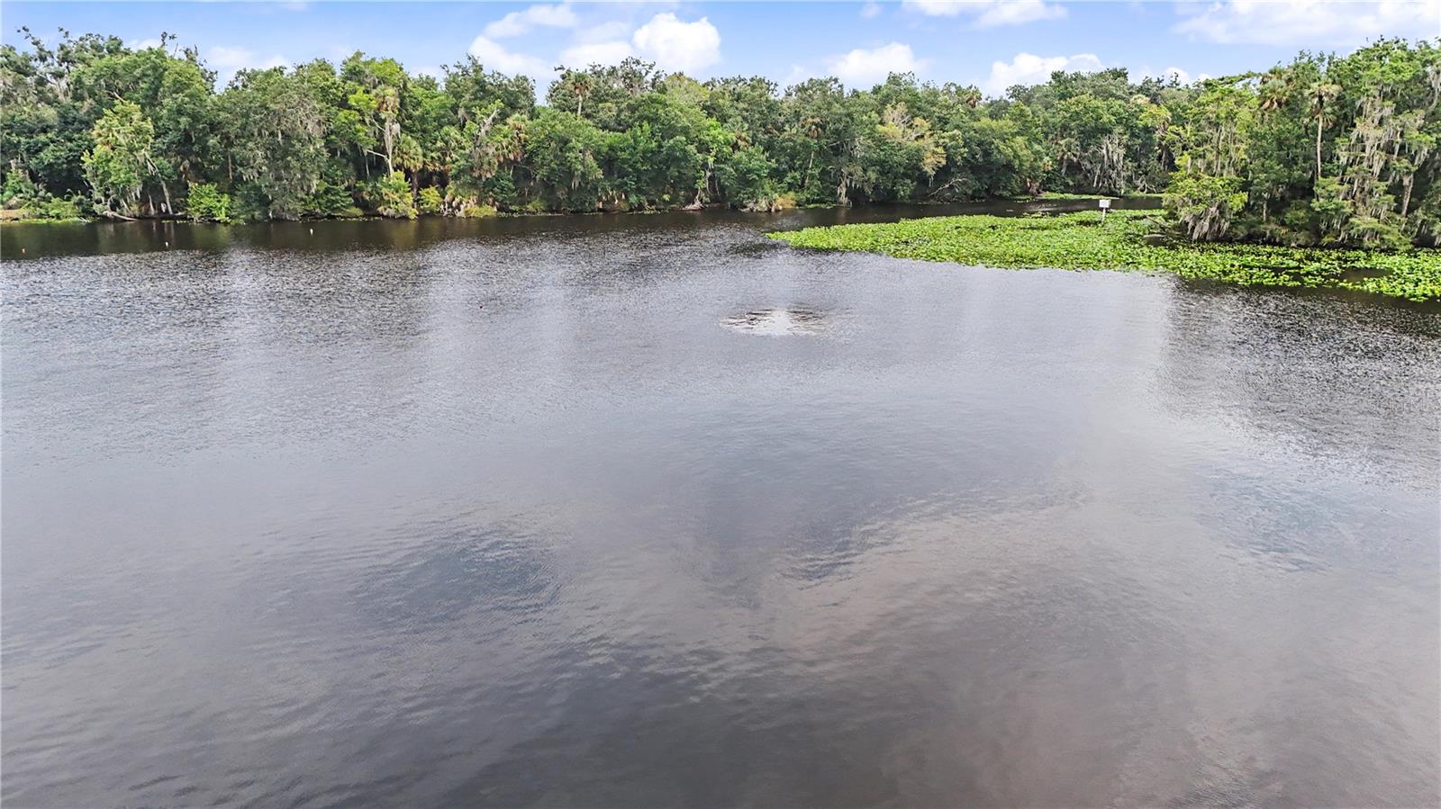 56440 Water Oak, Astor, FL 32102