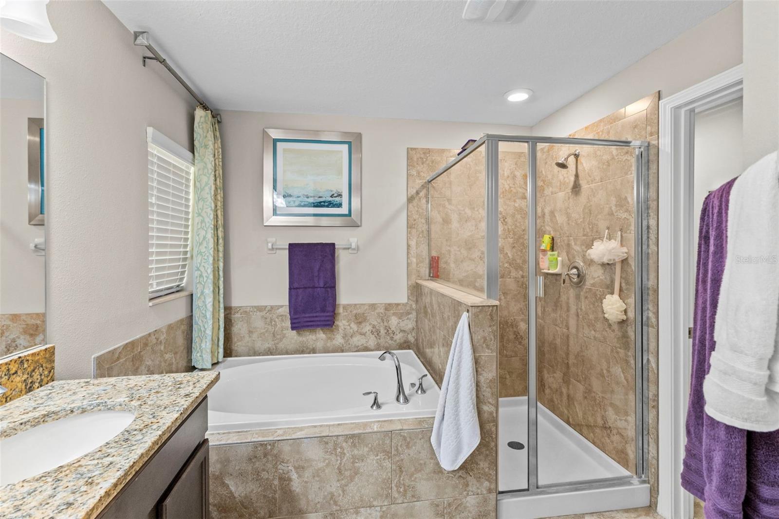 12211 Ballentrae Forest, Riverview, FL 33579