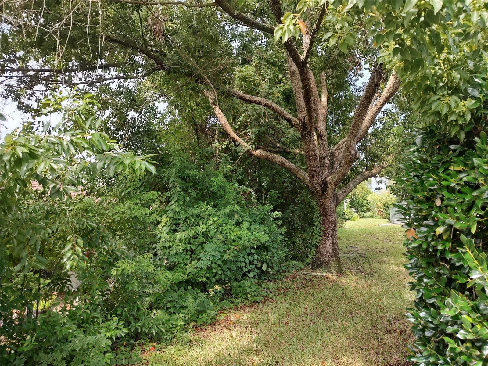 3716 Cove Park, Hernando, FL 34442