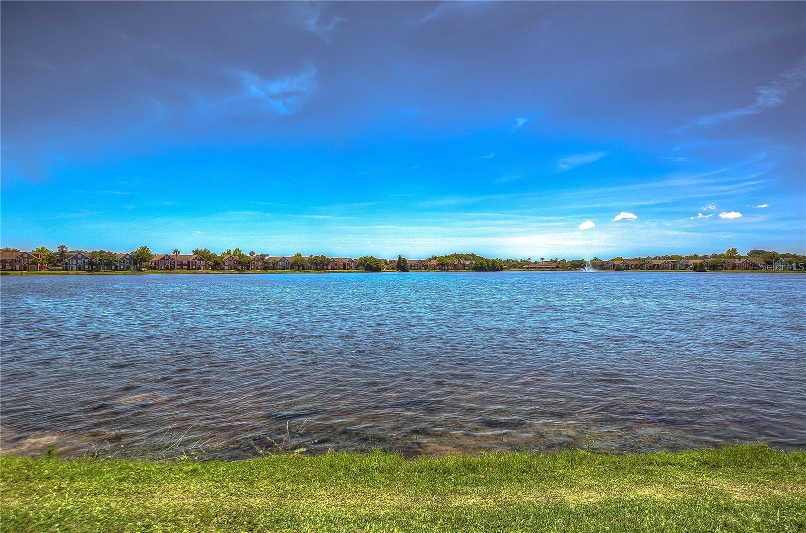 9034 Lake Chase Island Unit 9034, Tampa, FL 33626