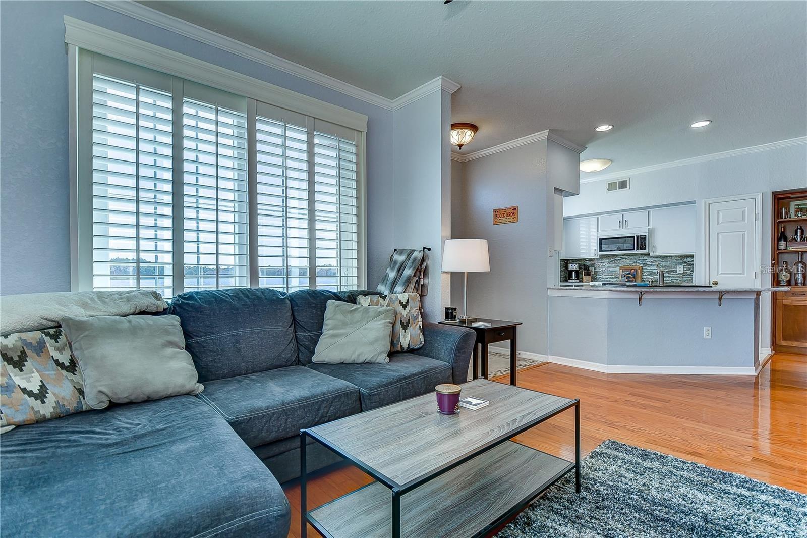 9034 Lake Chase Island Unit 9034, Tampa, FL 33626