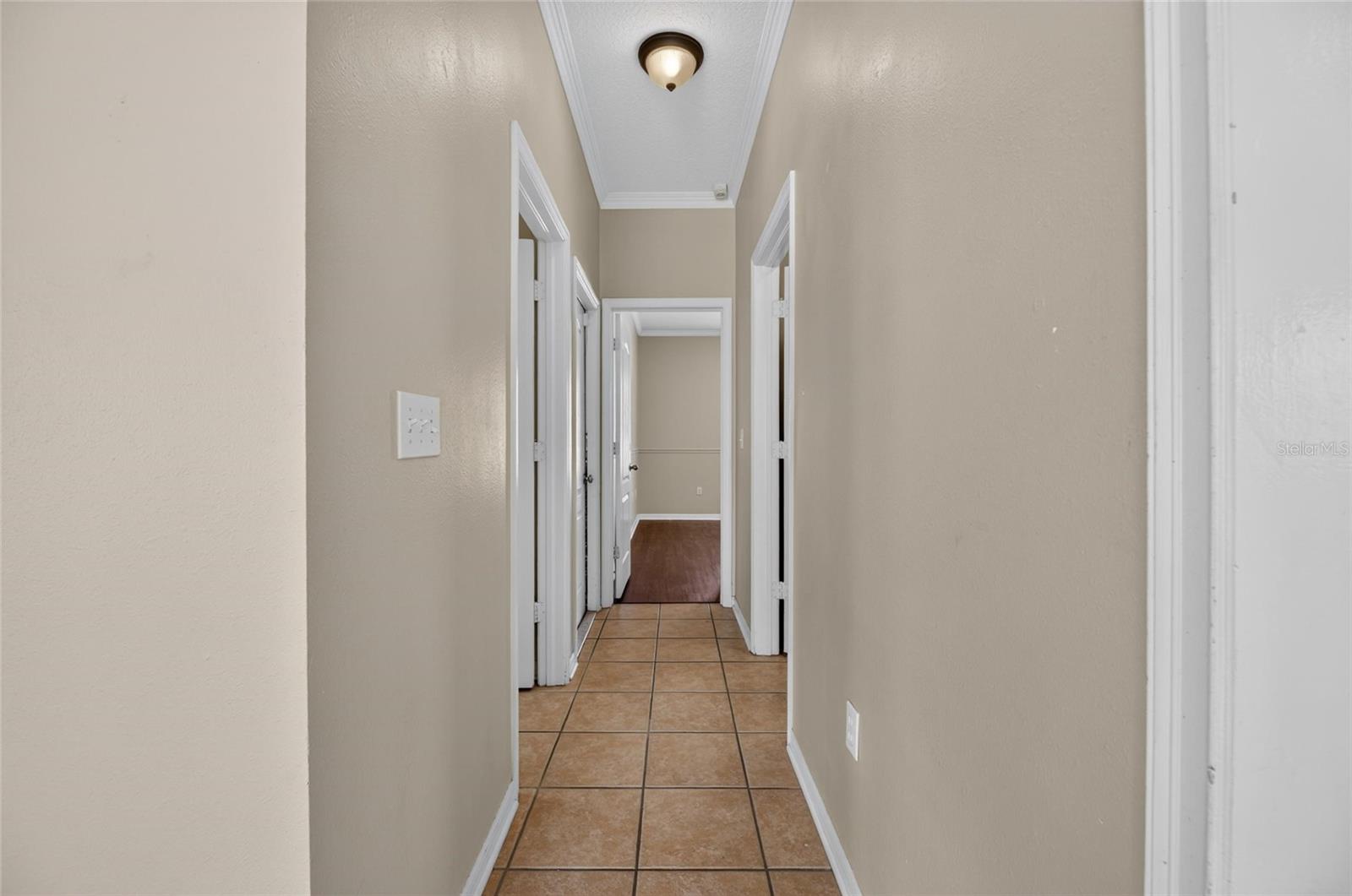 24519 Breezy Oak, Lutz, FL 33559