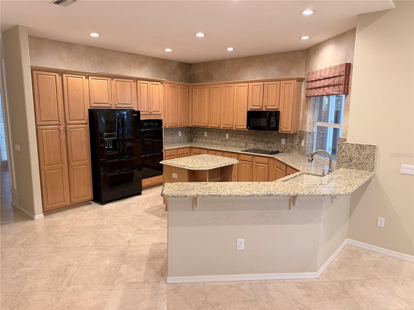 3704 Swans Landing, Land O Lakes, FL 34639