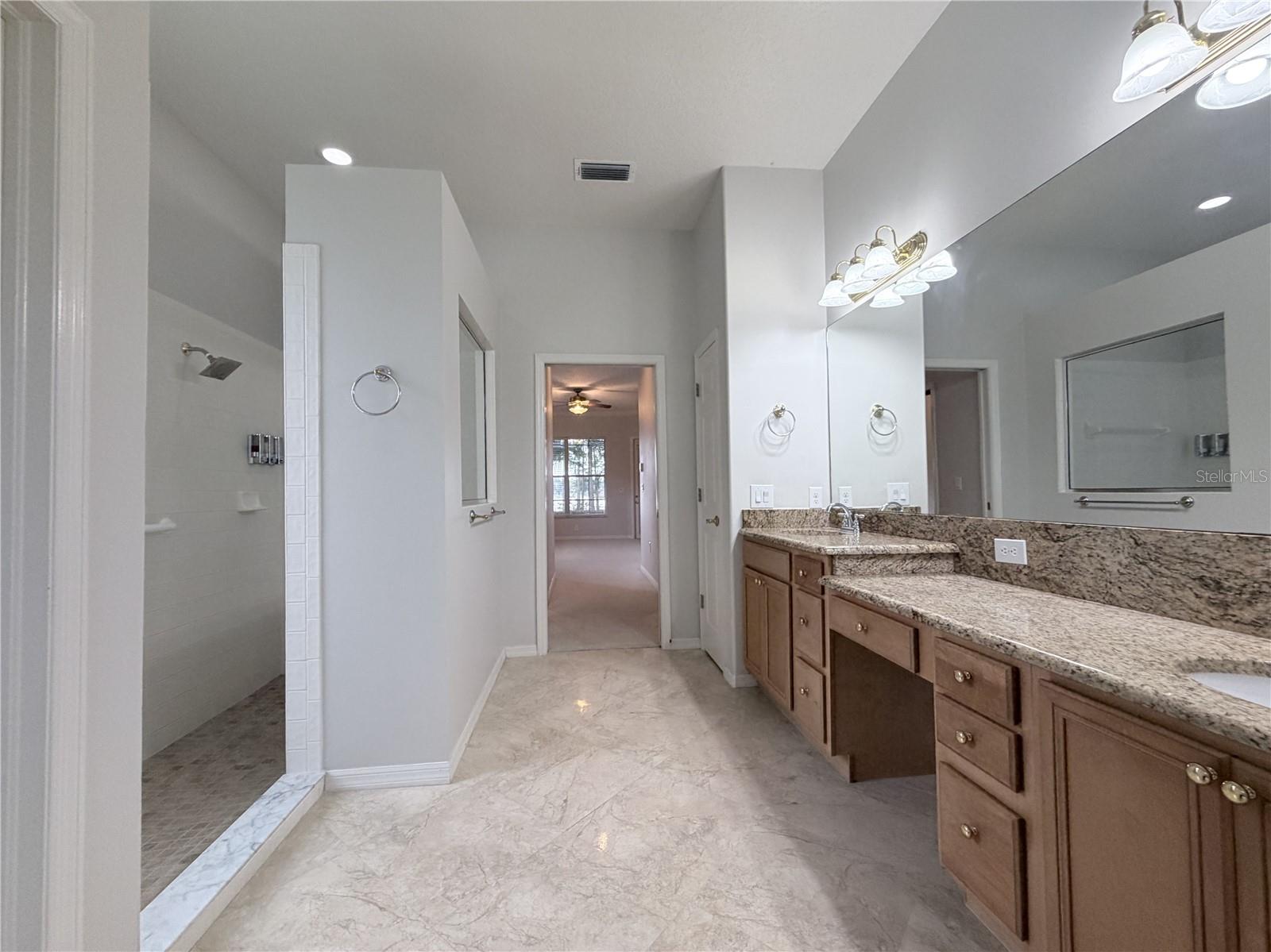 3704 Swans Landing, Land O Lakes, FL 34639