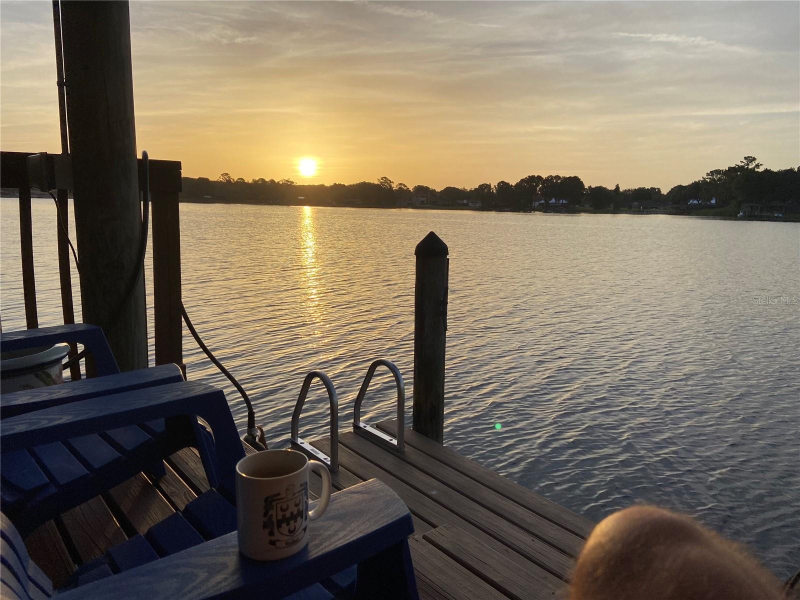 3704 Swans Landing, Land O Lakes, FL 34639