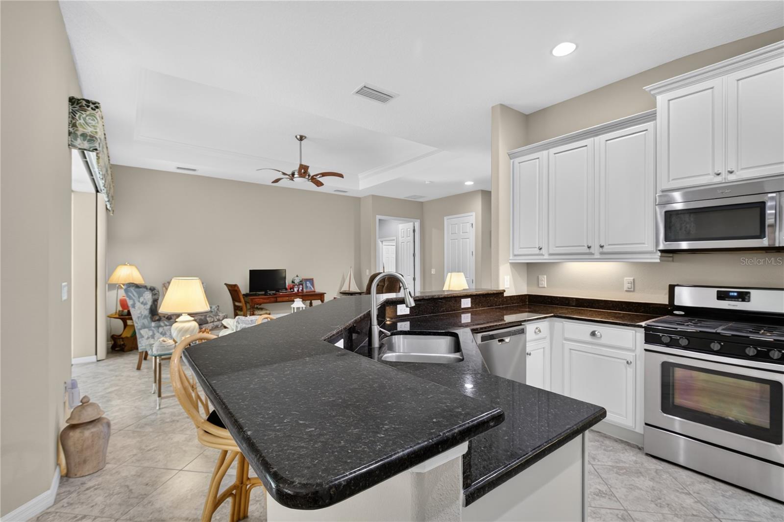 8356 Bridgeport Bay, Mount Dora, FL 32757