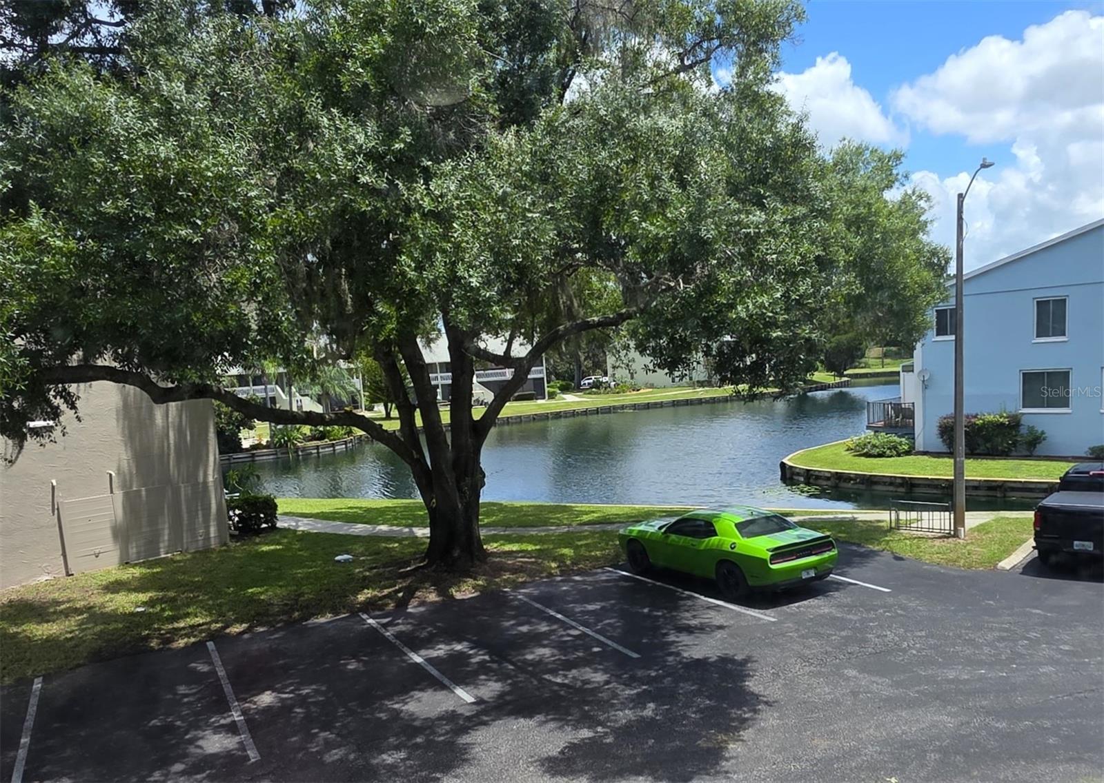 1781 Samurai Unit P9, Lutz, FL 33558