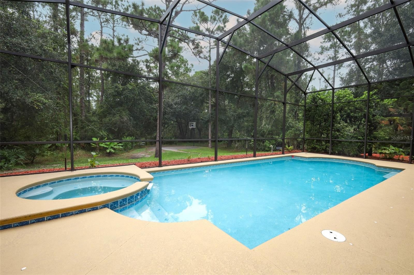 11712 Rambling Oak, Orlando, FL 32832