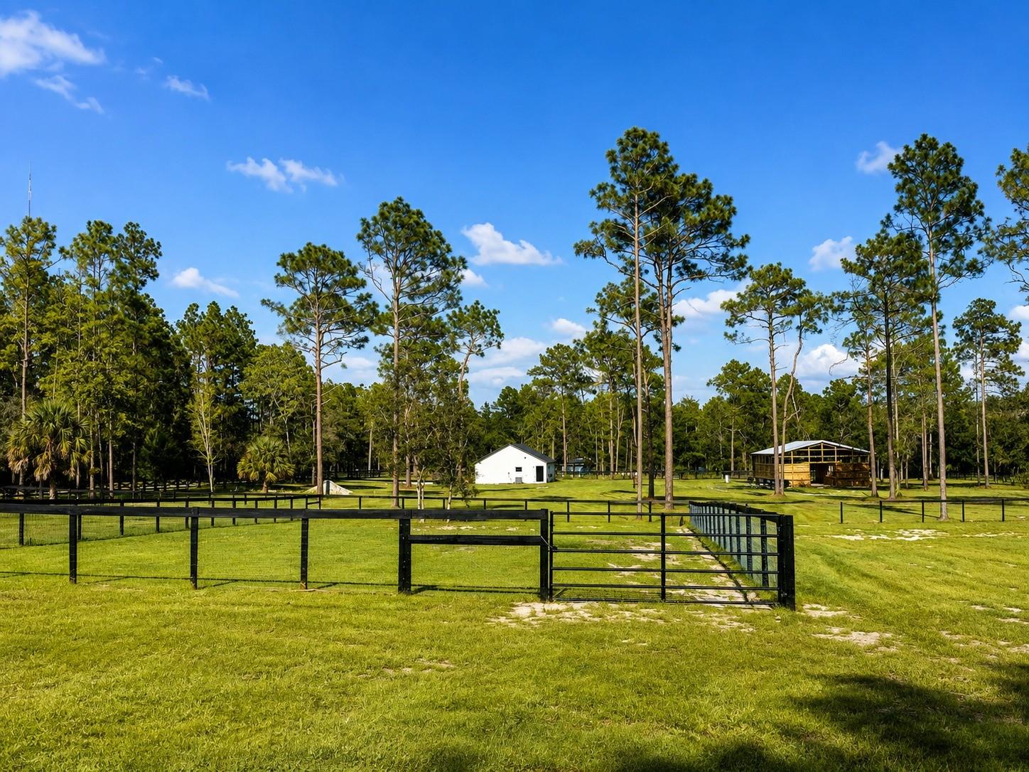11670 55th, Morriston, FL 32668