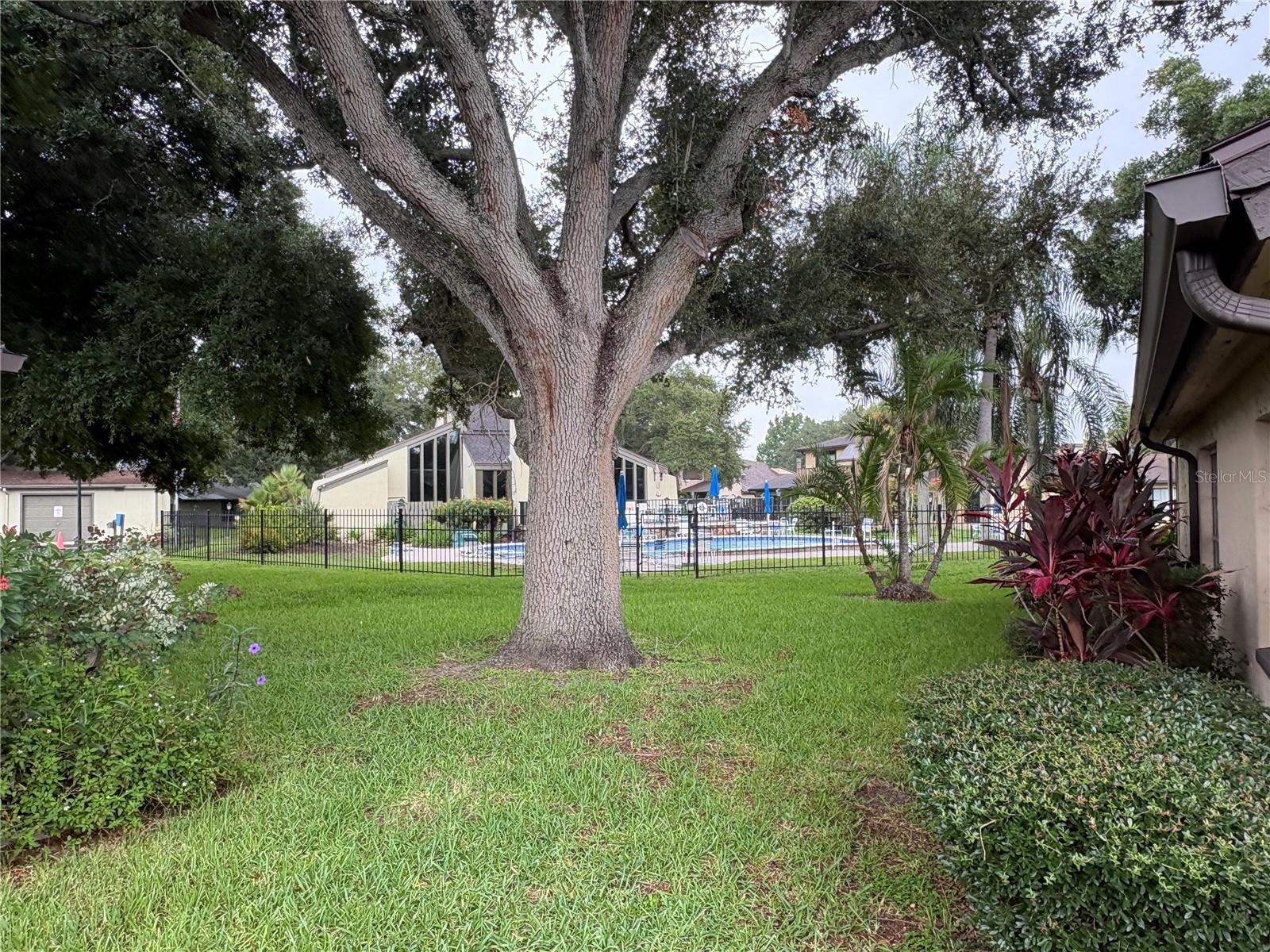 2101 Sunset Point Unit 2105, Clearwater, FL 33765