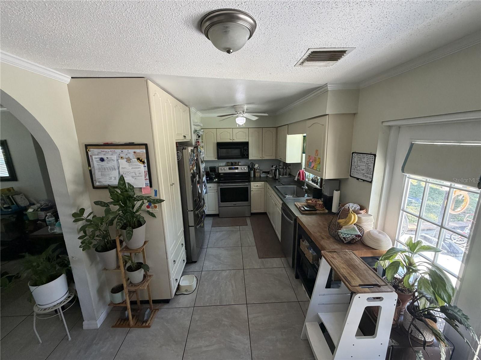 4180 Poinsettia, Mount Dora, FL 32757