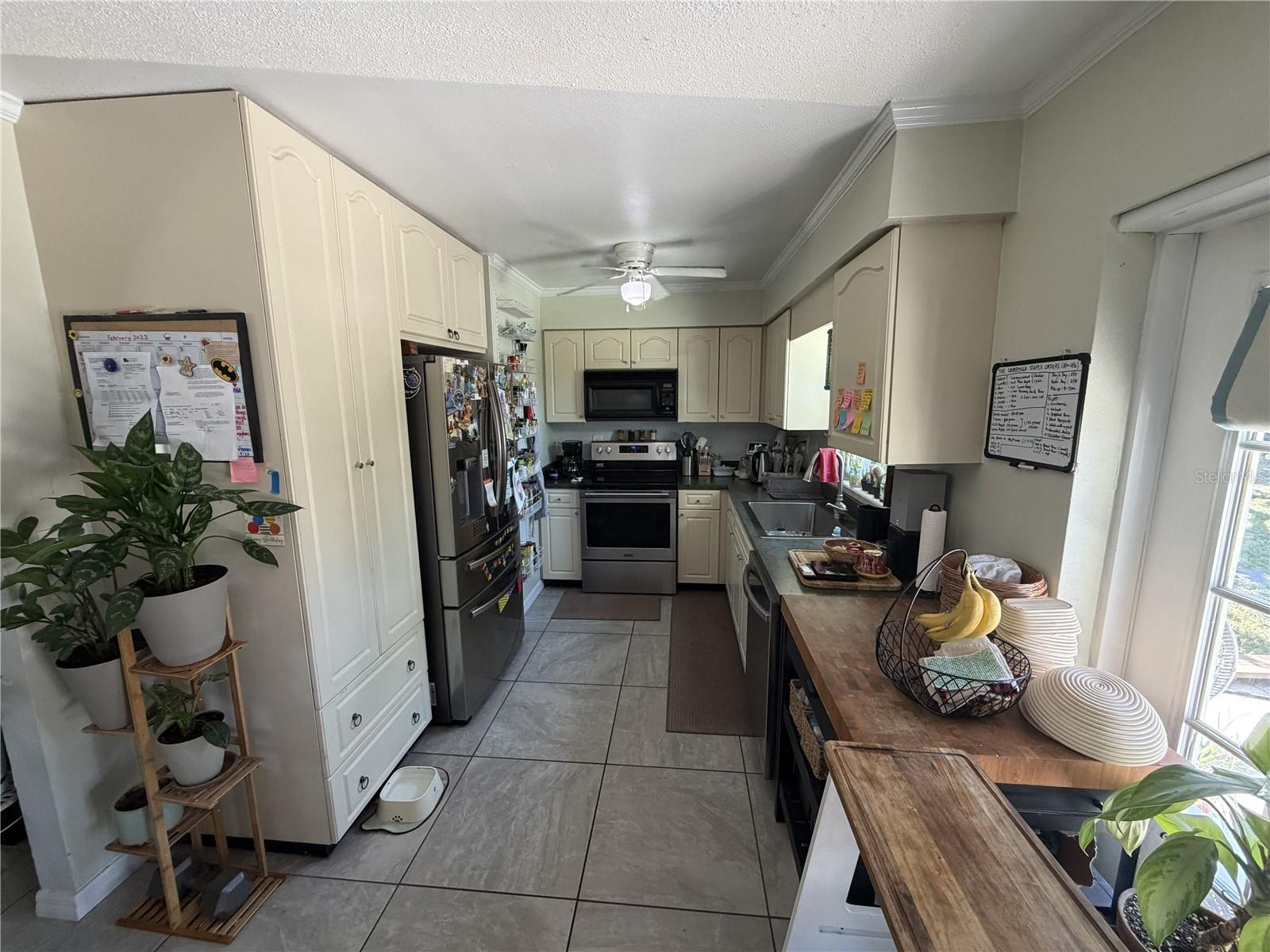 4180 Poinsettia, Mount Dora, FL 32757
