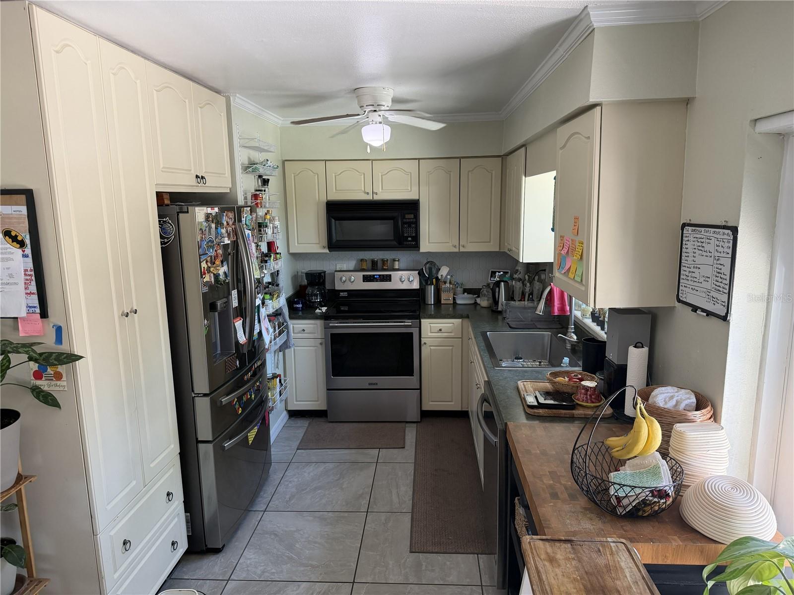 4180 Poinsettia, Mount Dora, FL 32757