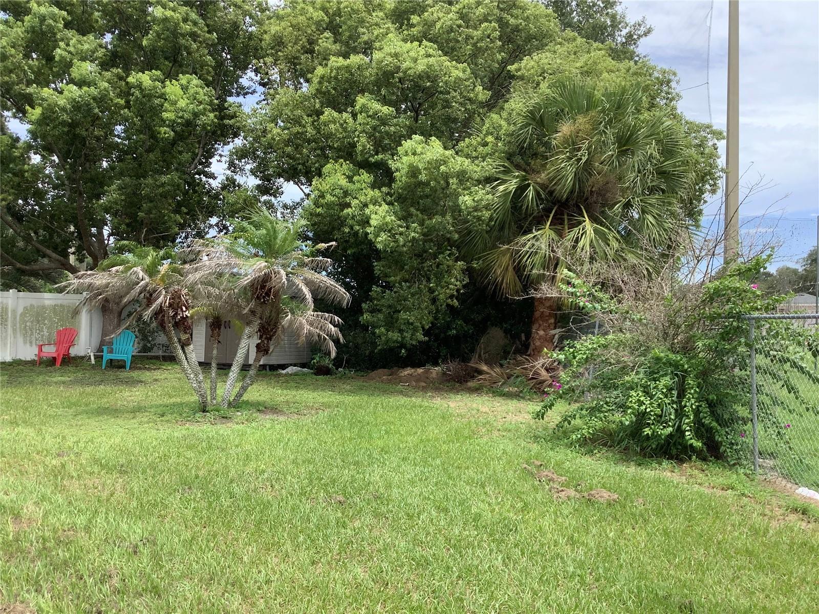 665 Stevelynn, Winter Garden, FL 34787