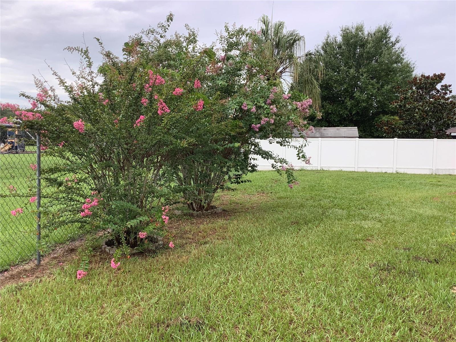 665 Stevelynn, Winter Garden, FL 34787