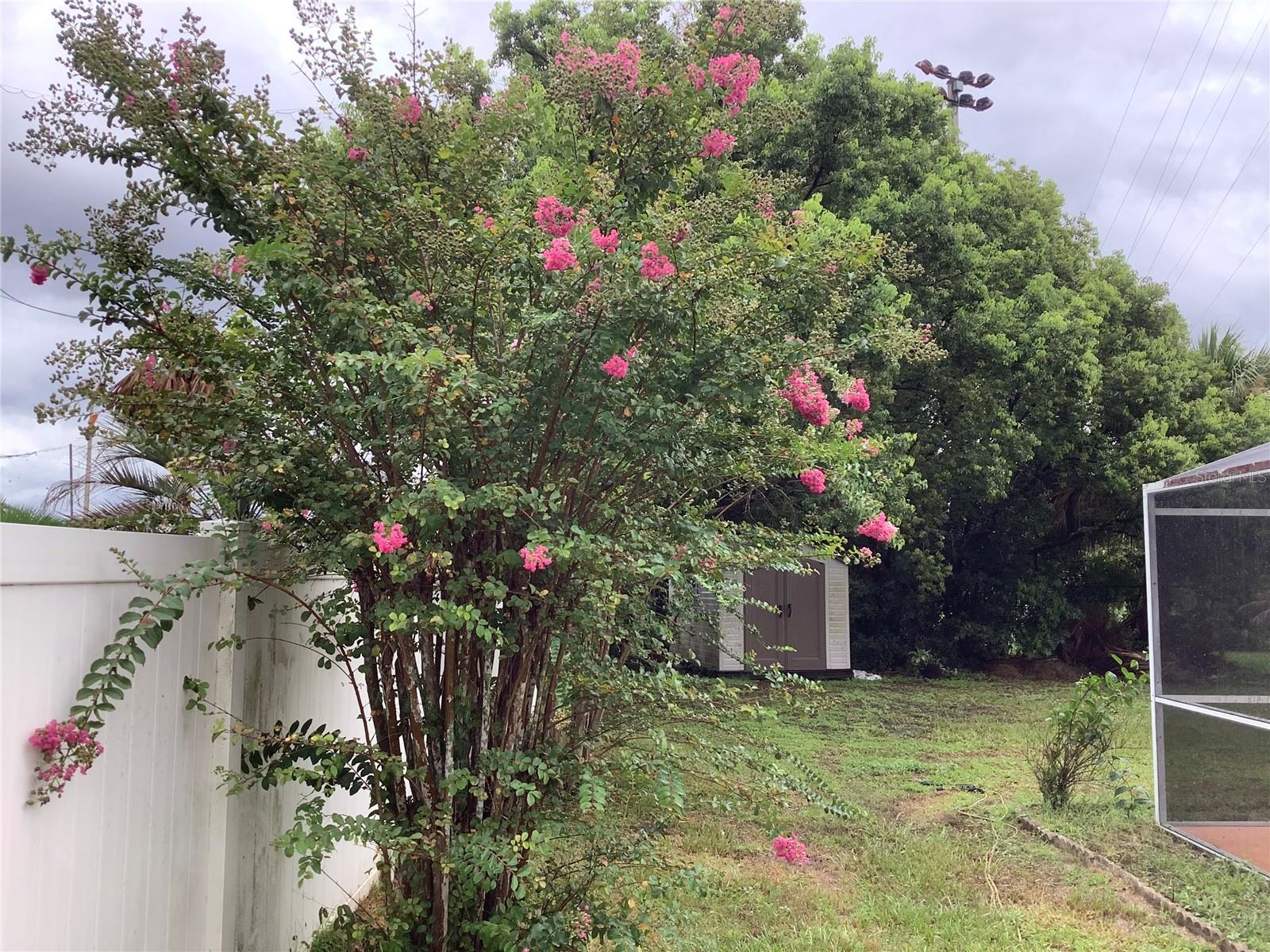 665 Stevelynn, Winter Garden, FL 34787