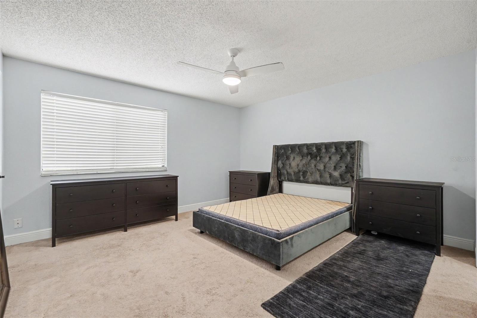 736 Sandy Creek, Brandon, FL 33511
