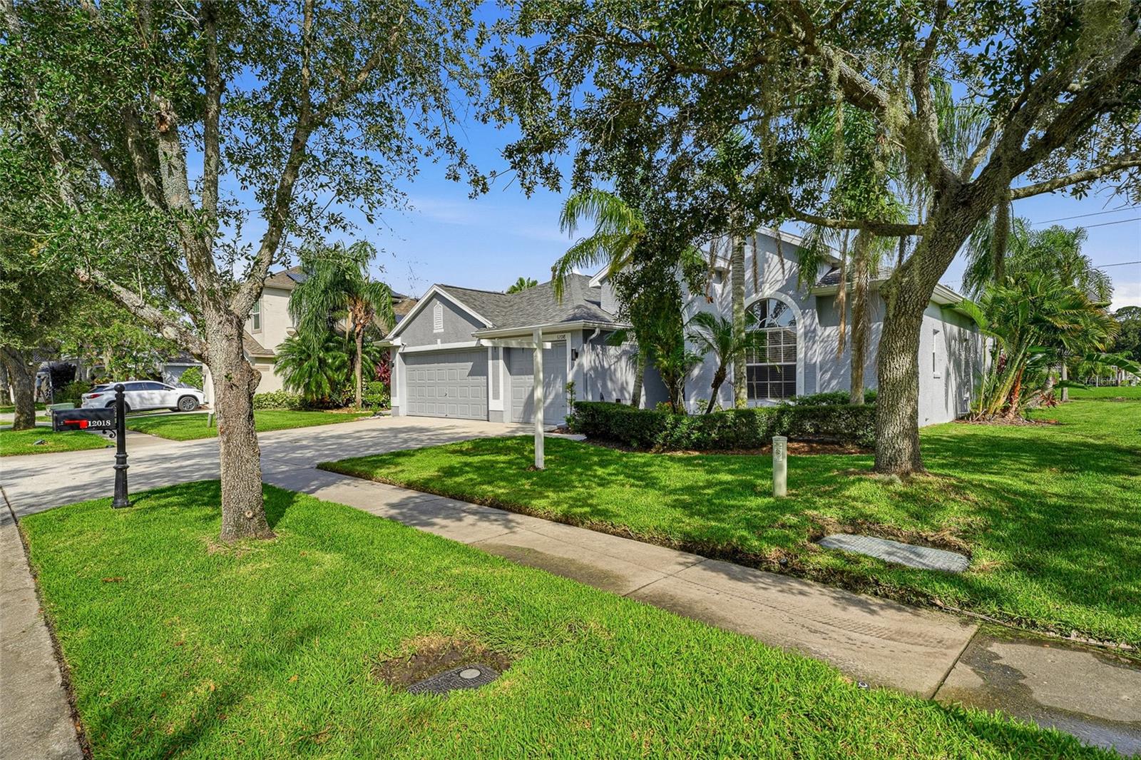 12018 Northumberland, Tampa, FL 33626