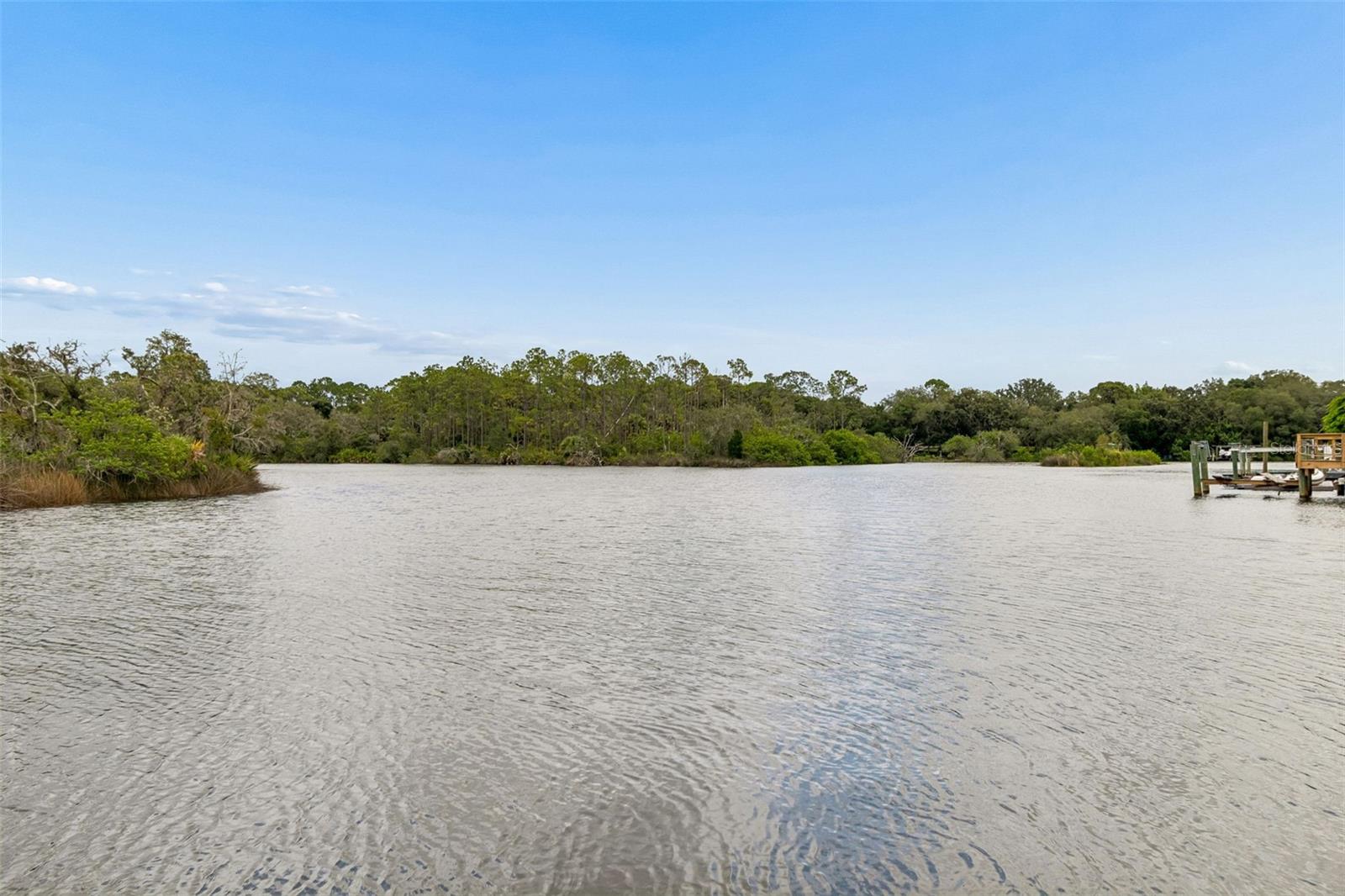 1166 Chancellor, Holiday, FL 34690