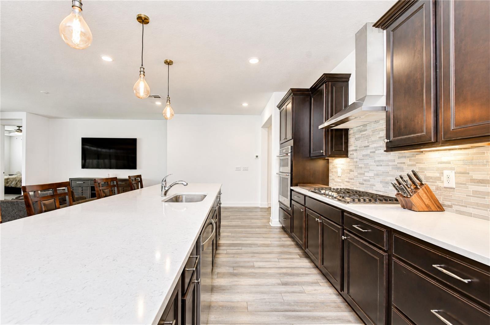 13857 Sharp Hawk, Riverview, FL 33569