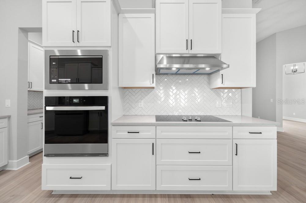 3845 Saddle Hill, Fruitland Park, FL 34731