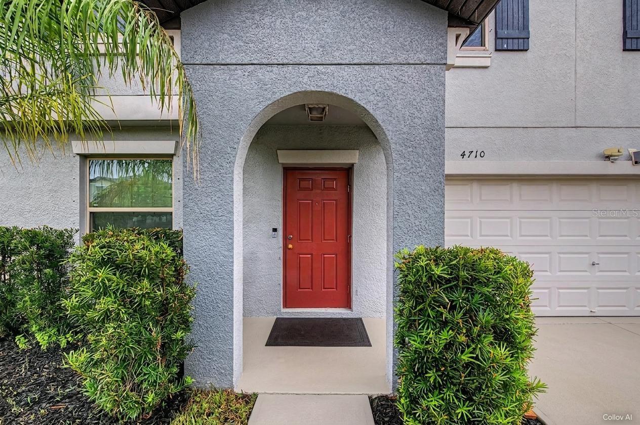 4710 Wild Senna, Tampa, FL 33619