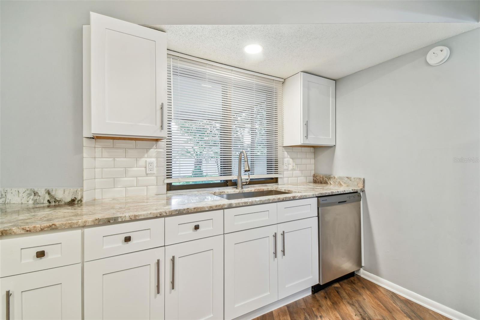 1010 Riflecrest, Valrico, FL 33594