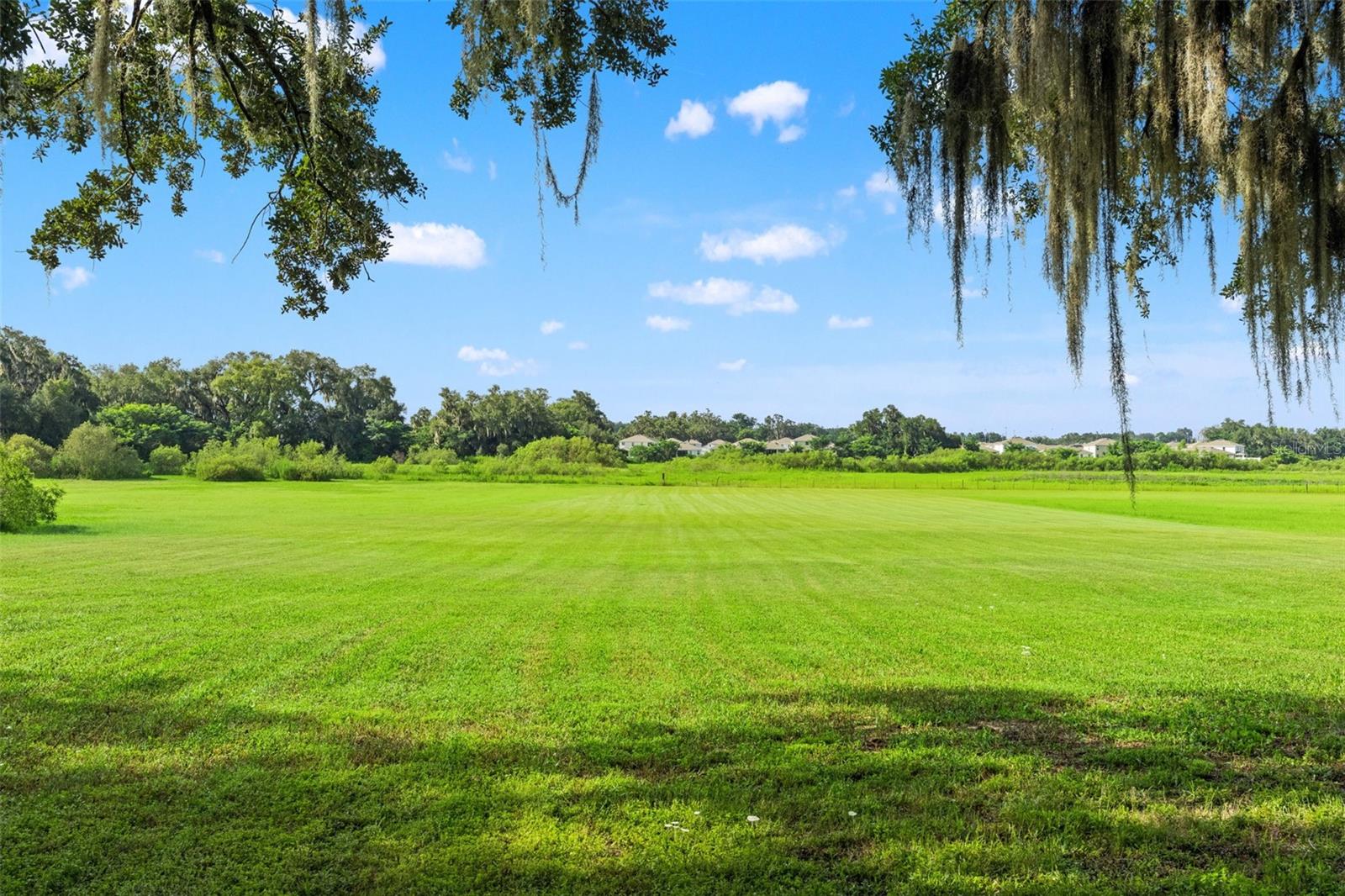 14050 Grandeur, Dade City, FL 33525